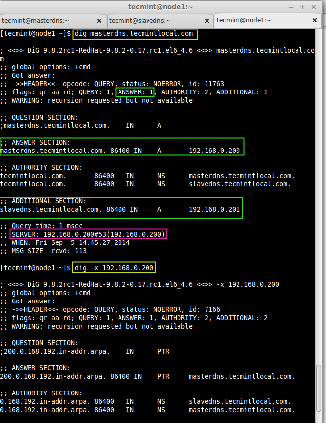 Check DNS Info