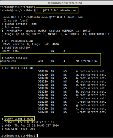 DNS Query Time