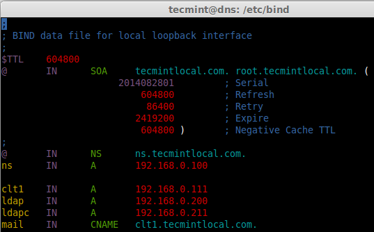 Create Forward DNS Zone