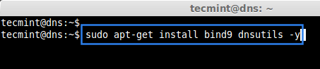 Install DNS Serve in Ubuntu