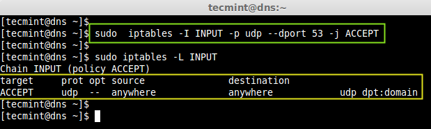 Iptables Open DNS Port