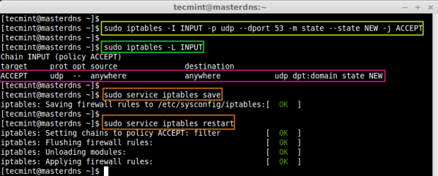 Open DNS Port on Firewall