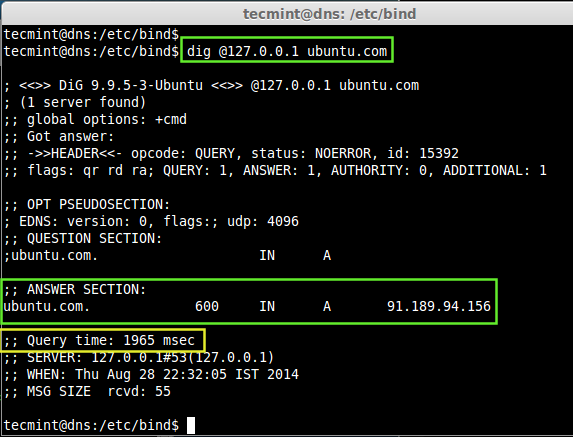 Query DNS Lookups