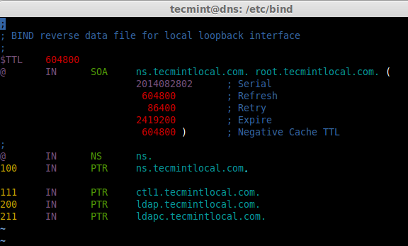 Reverse DNS Entry