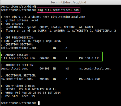 Reverse DNS Lookup