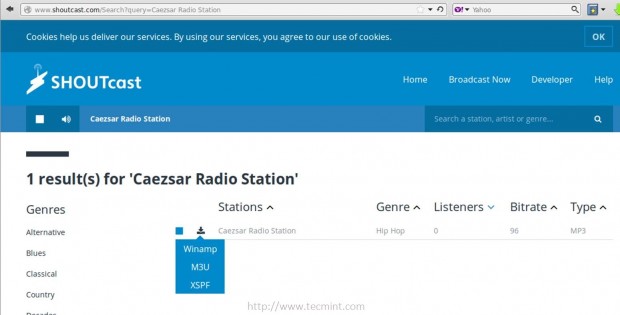 Shoutcast Station Listing