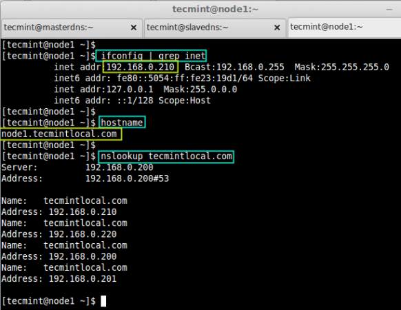 Verify DNS Entry