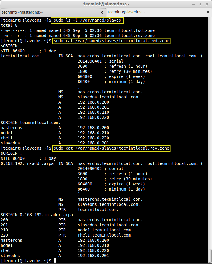 Dns lookup centos 6 0