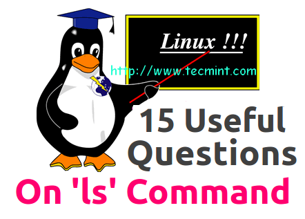 ls Command Questions