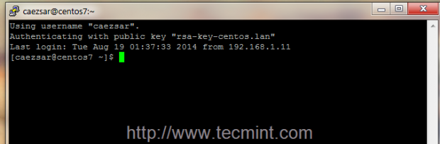 Automatically Connect SSH