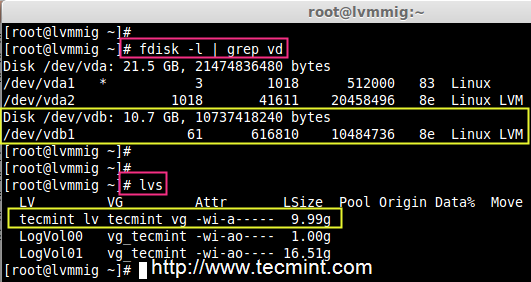 Check Logical Volume Disk