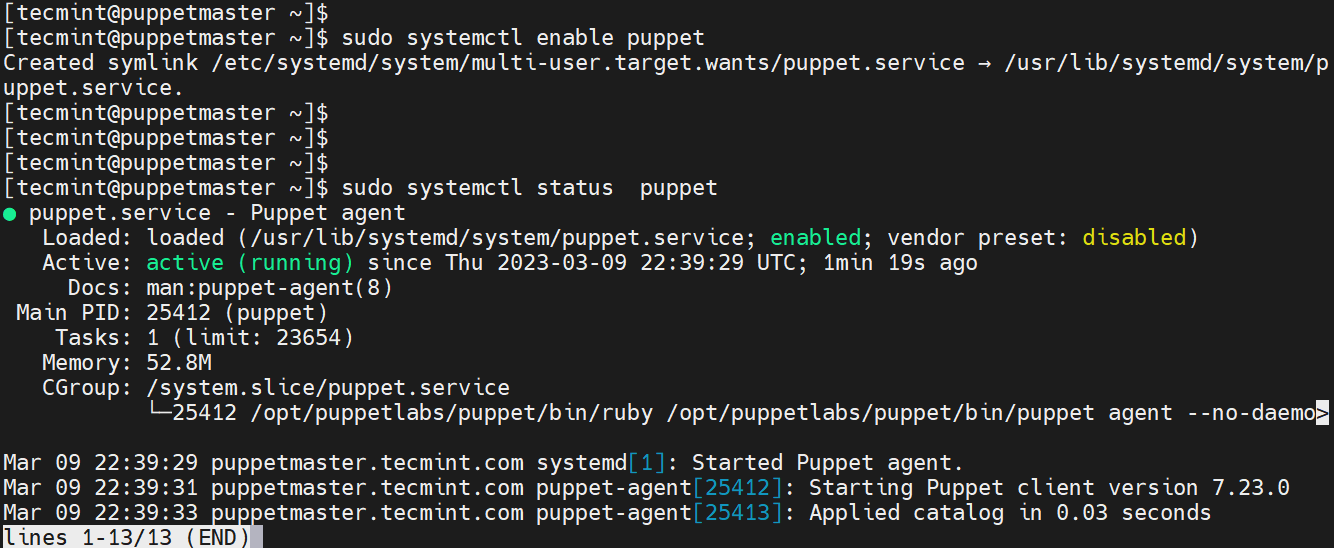 Check Puppet Agent Status