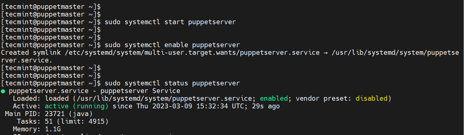 Check Puppet Server Status