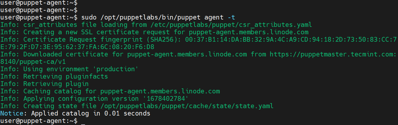 Connect to Puppet Server and Agent