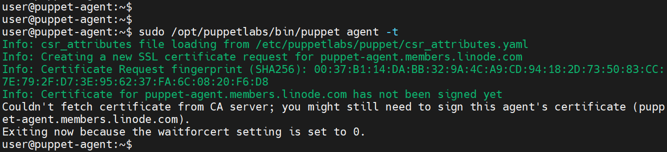 Connect to Puppet Server and Agent