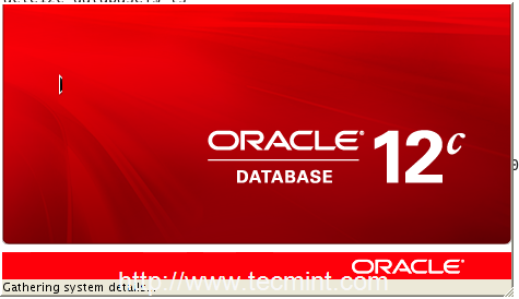 Oracle 12c Installer in RHEL