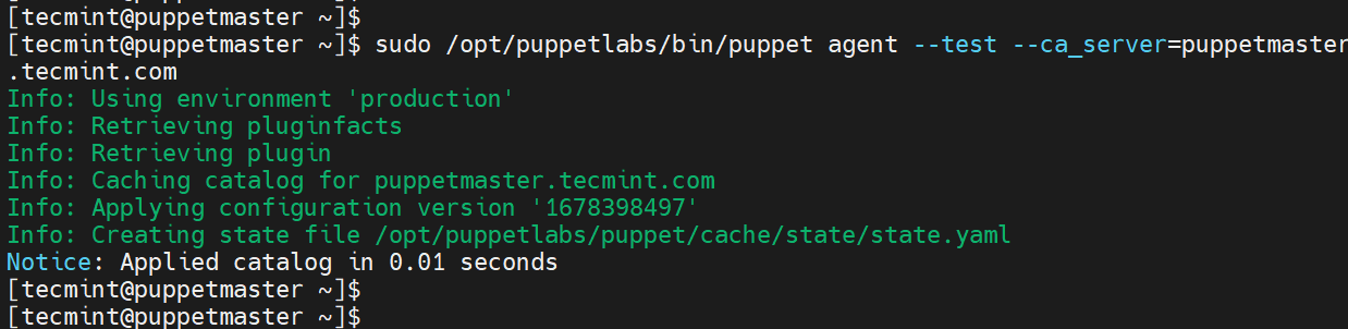 Verify Puppet Server