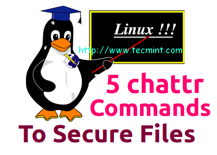 chattr command examples