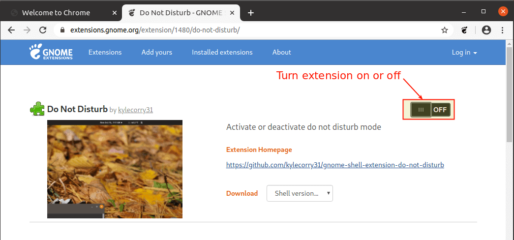 Enable Gnome Extension
