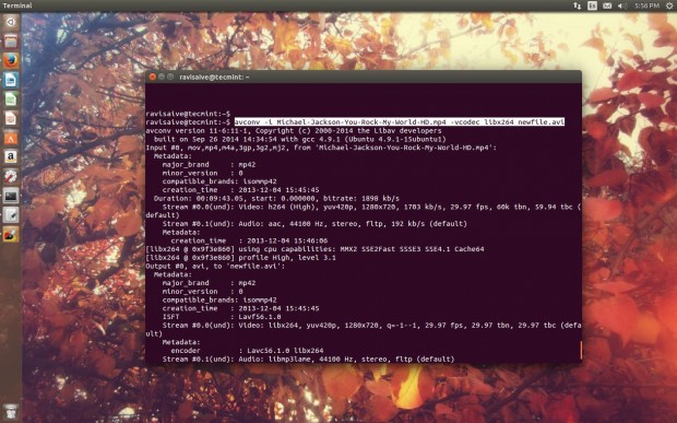  Convertir mp4 a formato Avi en Linux 