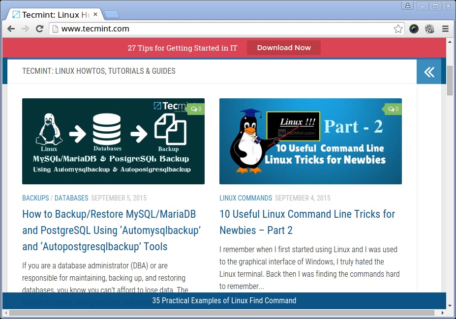 Preview: Google Chrome on Linux Mint 17