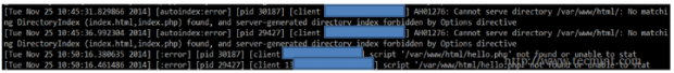 Apache Error Log