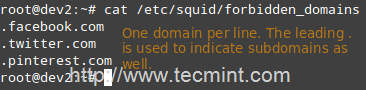 Block Domains in Squid