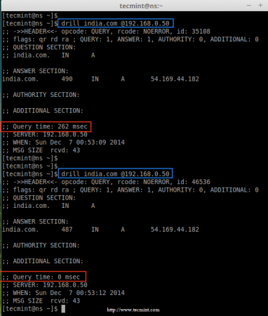 Check DNS Cache Locally