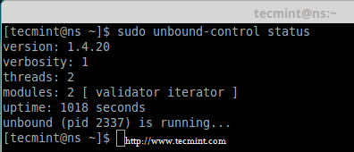 Check Unbound DNS Status