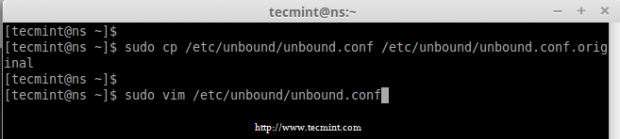 Copy Unbound DNS Configuration