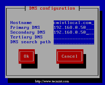  Ingrese la dirección IP de DNS 