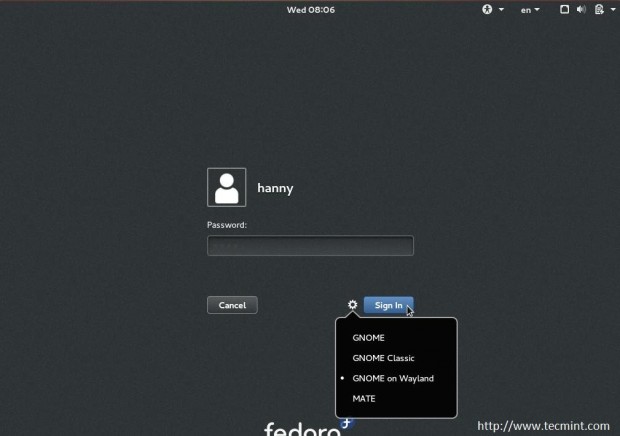 Fedora 21 Wayland-Display