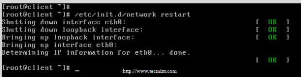 Restart Network in CentOS 6