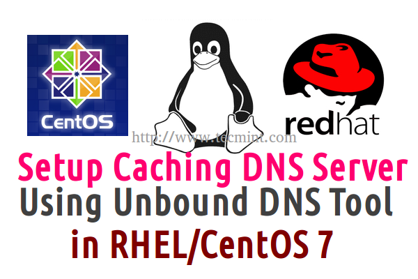  Configurar el servidor DNS en caché en CentOS 7 