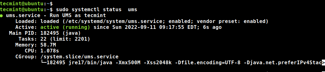 Universal Media Server Status