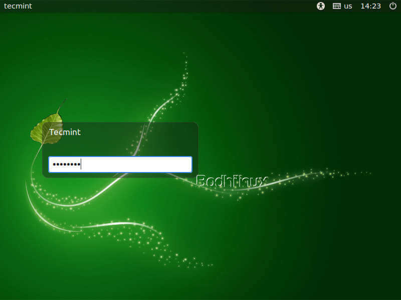 Bodhi Linux Login