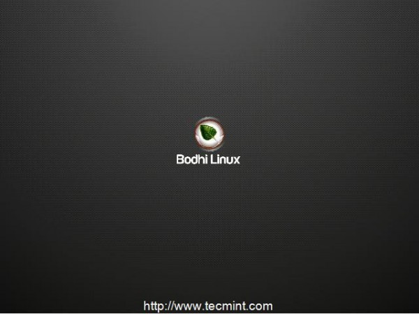 Booting Bodhi Linux
