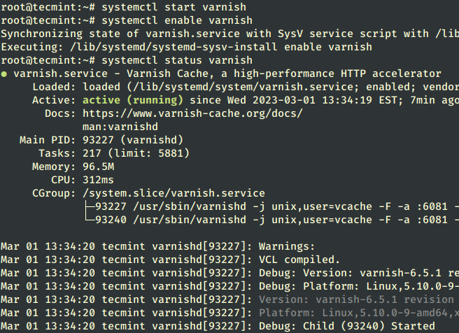 Check Varnish Cache Status