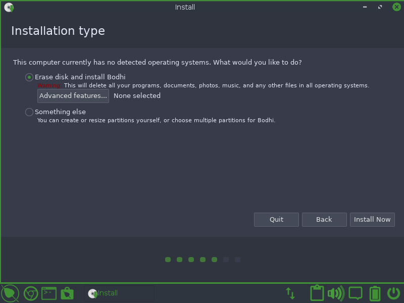 Choose Bodhi Linux Installation Type