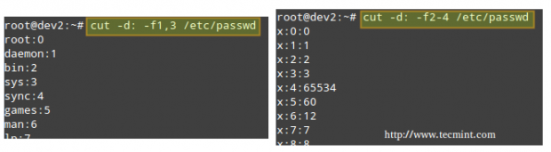 Extract Text From a File in Linux