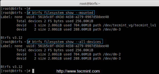 List Btrfs Filesystems