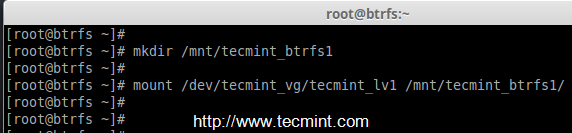 Mount Btrfs Filesystem