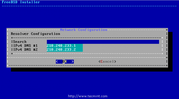 Add DNS Server IP
