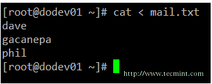 Linux cat command examples