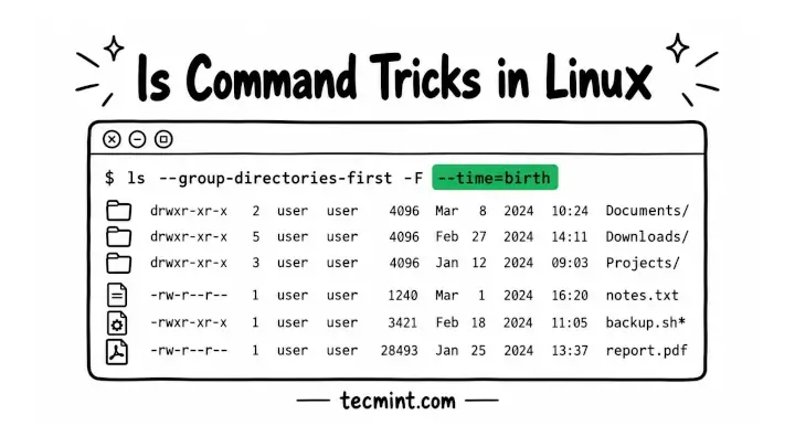 ls Command in Linux