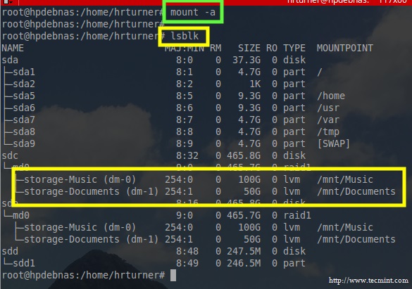 Check LVM Filesystem Mount Status