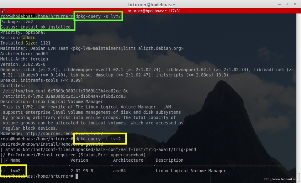 Installation of LVM on Debian