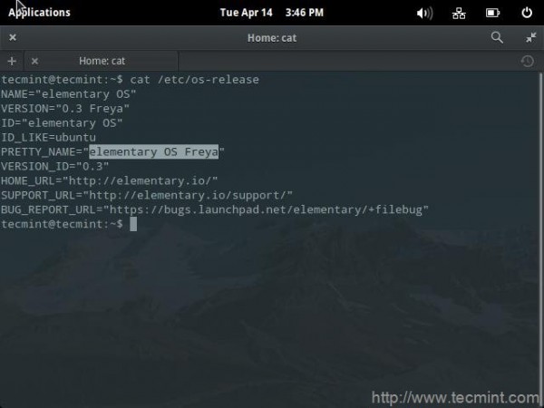 Check Elementary OS Version