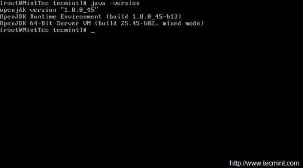 Check Java Version