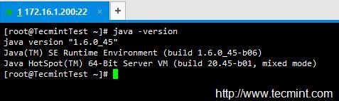 Check Java Version